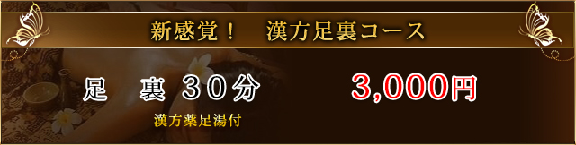 「料金システム」